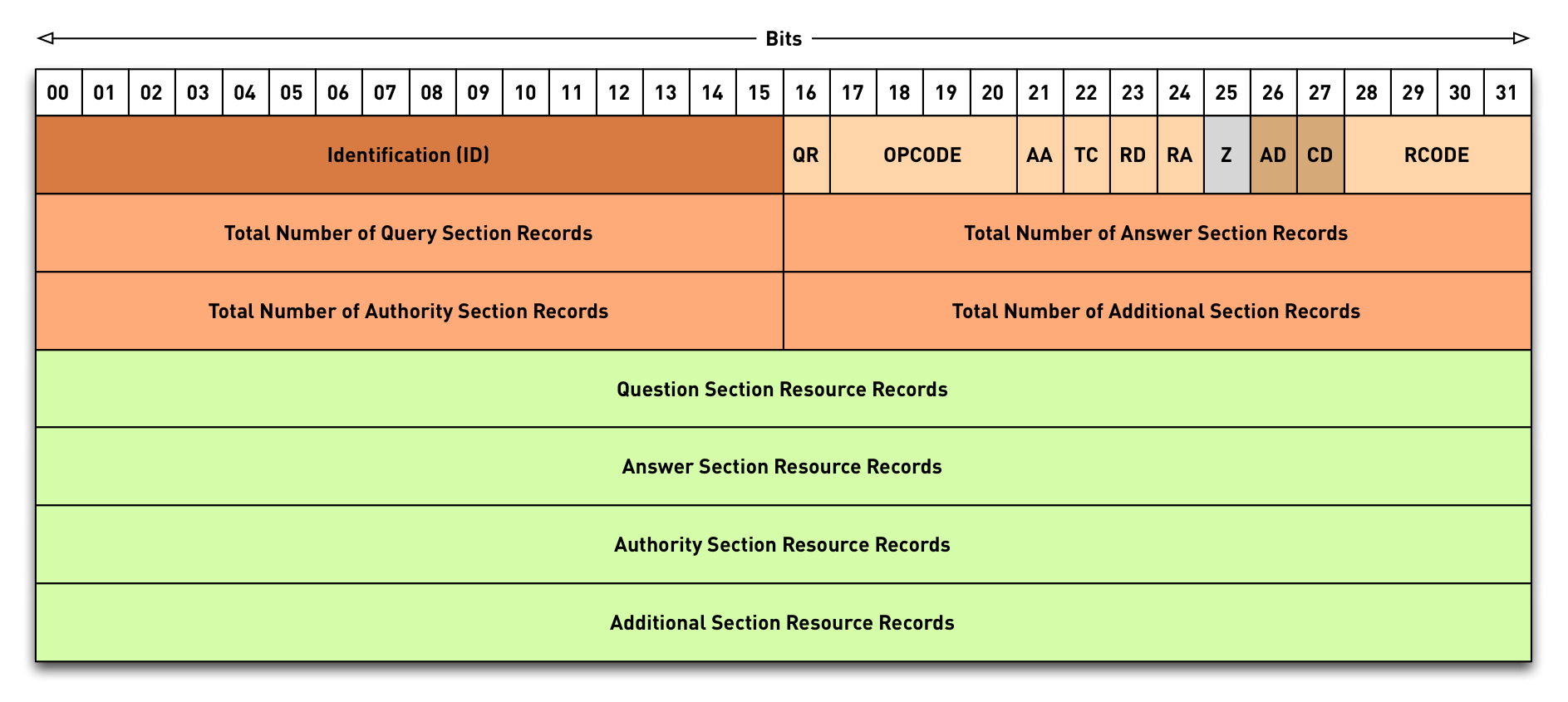 0302-DNS-Components-DNS-packet.png